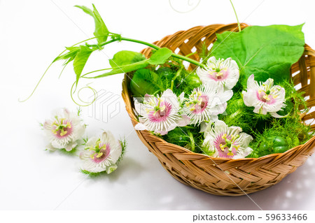 Fetid passionflowers on white Fetid passionflowers on white 59633466