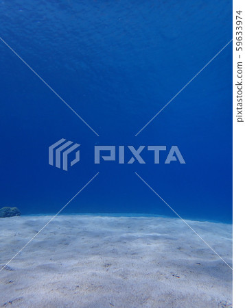 海沙漠 海沙漠 59633974