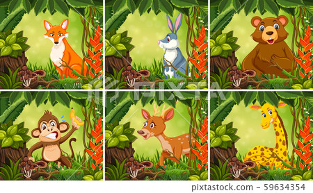 Exotic animal in jungle background 59634354