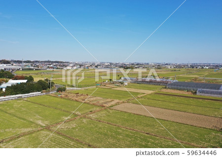 Hiratsuka city aerial photography 59634446