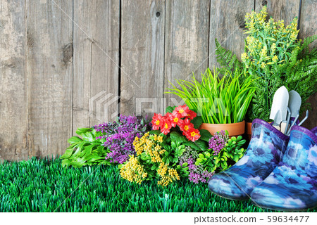 Gardening tools and flowers Gardening tools and flowers 59634477