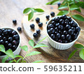 blueberry 59635211