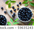 blueberry 59635243