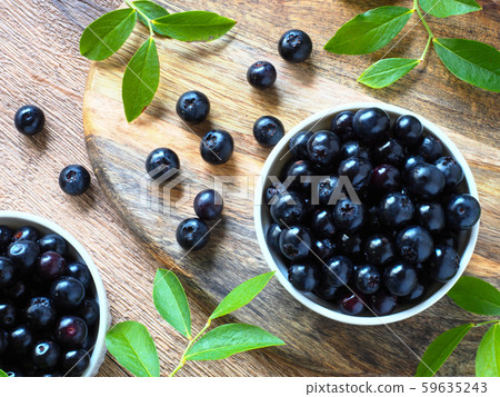 blueberry 59635243