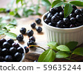 blueberry 59635244