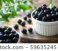 blueberry 59635245