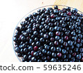 blueberry 59635246