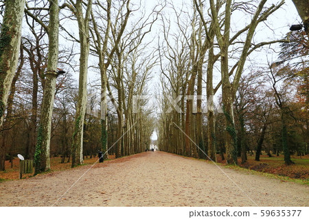 Grove to the World Heritage Chenonceau Castle (Chateau de Chenonceau) 59635377