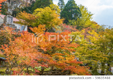 秀彥山神宮的紅葉接近 秀彥山神宮的紅葉接近 59635488