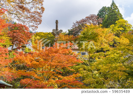 秀彥山神宮的紅葉接近 秀彥山神宮的紅葉接近 59635489