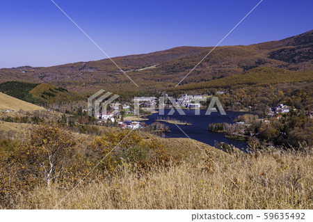 (Nagano) Lake Shirakaba seen from Venus Line in autumn 59635492