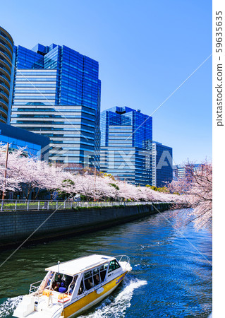 Spring Sakura Osaki Meguro River Japan Riverside Riverside Tokyo Tourism Office Building Redevelopment Osaki Station Spring Sakura Osaki Meguro River Japan Riverside Riverside Tokyo Tourism Office Building Redevelopment Osaki Station 59635635