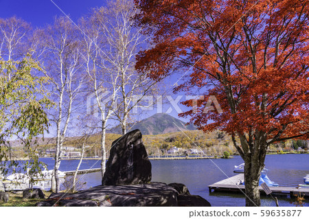 (Nagano) Shirakaba Lake, autumn leaves on the shore and Mt. Tateshina 59635877