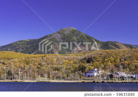 (Nagano) Shirakaba Lake, autumn leaves on the shore and Mt. Tateshina 59635880