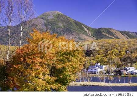 (Nagano) Shirakaba Lake, autumn leaves on the shore and Mt. Tateshina 59635885