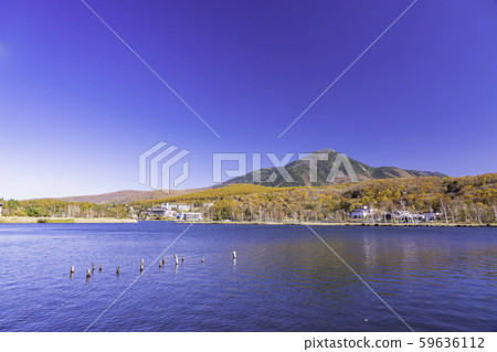 （長野）白鹿湖，秋天的落葉和立山 59636112