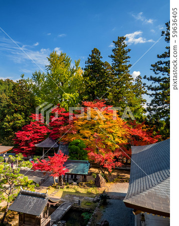 Chang'an Temple of autumn leaves 59636405