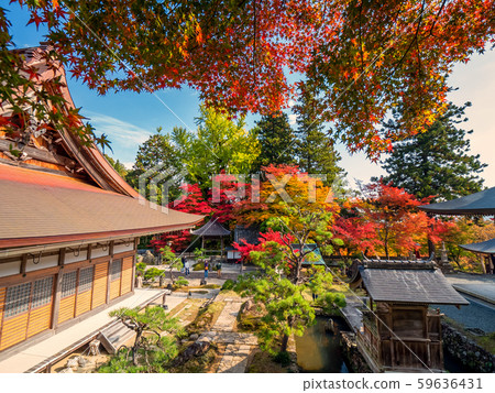 長安寺的秋葉 59636431