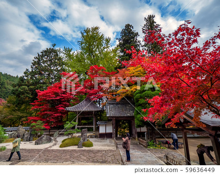 Chang'an Temple of autumn leaves 59636449