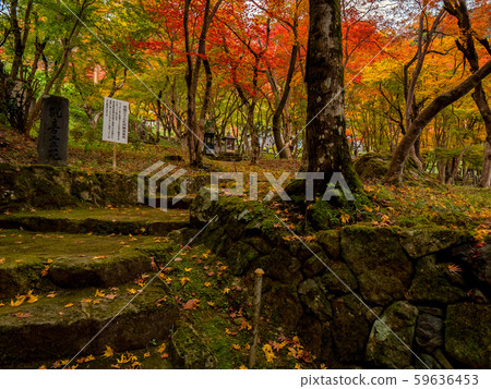 Chang'an Temple of autumn leaves Chang'an Temple of autumn leaves 59636453