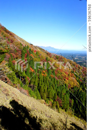 Nekodake的Aso Godake從Todo登山入口爬到Nekodake東峰，大東山脊路線的秋天景色 59636768