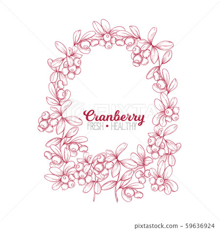 Cranberry. Element for design.  59636924