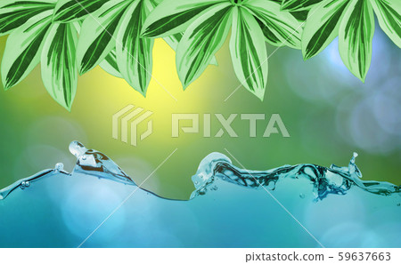 Green leaf tree over Water ripple on white 59637663