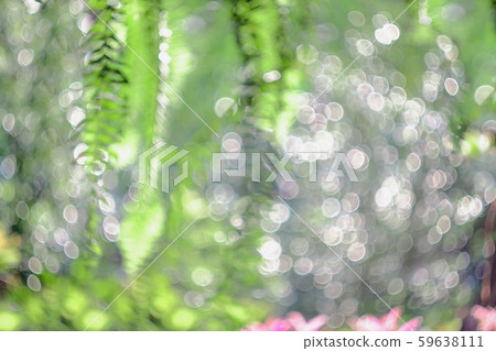 Blurry and bokeh of nature background. Blurry and bokeh of nature background. 59638111