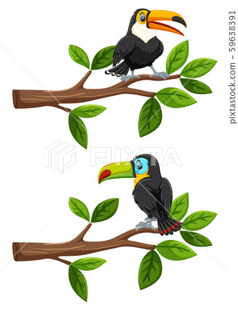 Set of birds on branches Set of birds on branches 59638391