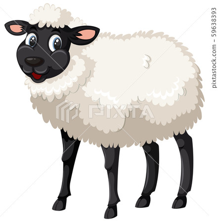 Cute black and white sheep Cute black and white sheep 59638393