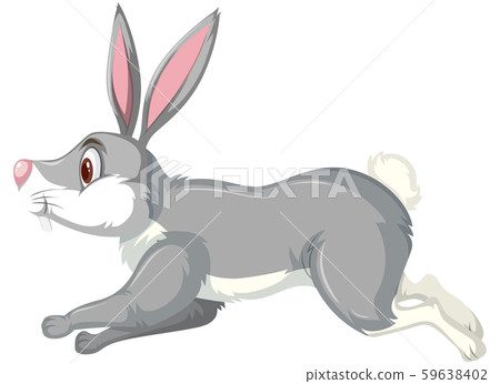 A running rabbit on white backgroud A running rabbit on white backgroud 59638402