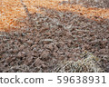 a view of the barren rice field 59638931