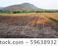 a view of the barren rice field 59638932