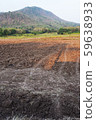a view of the barren rice field 59638933