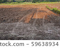 a view of the barren rice field 59638934