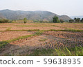 a view of the barren rice field 59638935