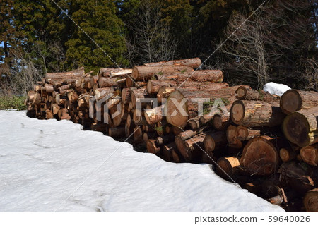 Cedar log cut out Cedar log cut out 59640026