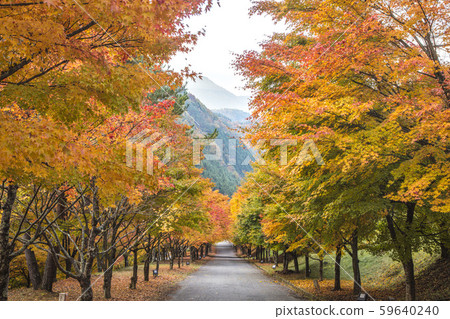 秋葉隧道 秋葉隧道 59640240