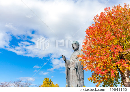 Ushiku Daibutsu (Great Buddha) 59641160