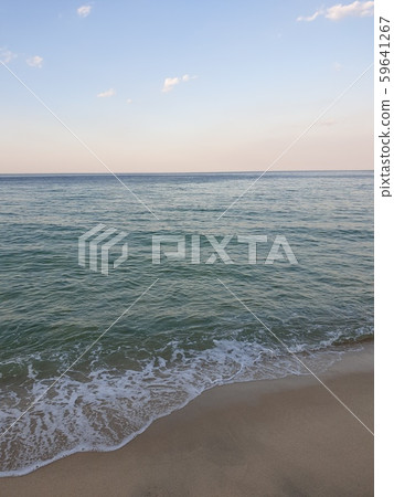 海 59641267