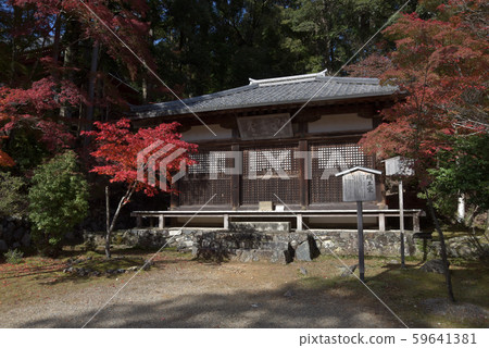 Jingoji Akihodo in the fall Jingoji Akihodo in the fall 59641381