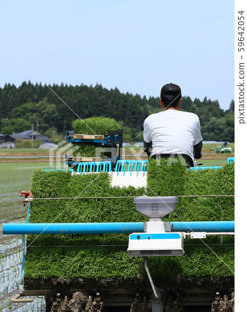 種植與米移植器的男性圖像米 種植與米移植器的男性圖像米 59642054