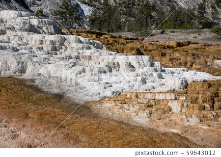 Minerva Terraces with its travertine deposits 59643012