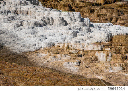 Minerva Terraces with its travertine deposits 59643014