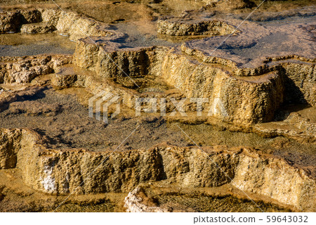 Minerva Terraces with its travertine deposits Minerva Terraces with its travertine deposits 59643032