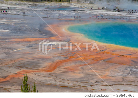 Grand Prismatic Spring in Yellowstone National 59643465