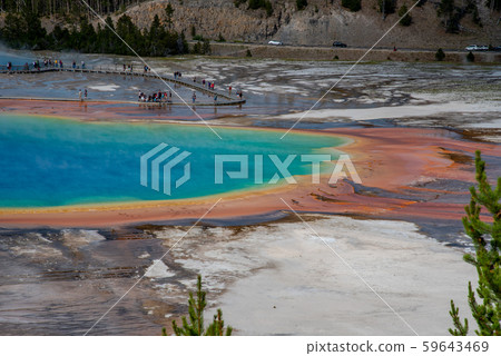 Grand Prismatic Spring in Yellowstone National 59643469