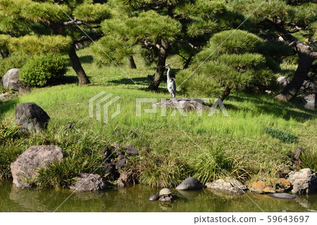 Kiyosumi Garden Nature Kiyosumi Garden Nature 59643697