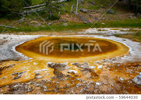 Geothermal feature at old faithful area at Geothermal feature at old faithful area at 59644030