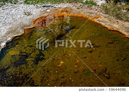 Geothermal feature at west thumb at Yellowstone 59644096